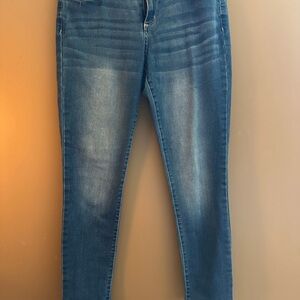 Arizona Jean Company Women's Blue Skinny Jeans